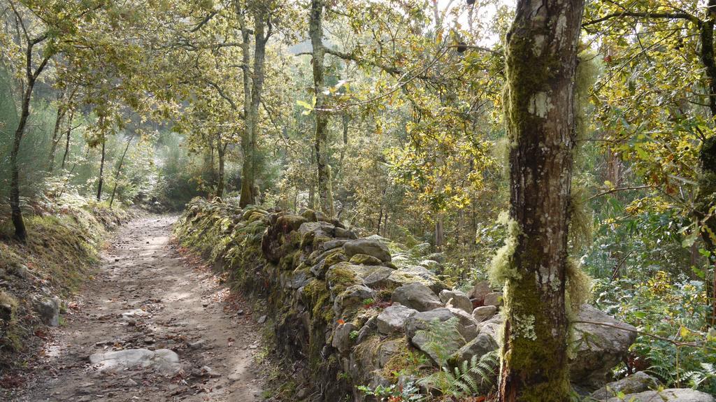 Quinta Das Leiras - Rubiaes Paredes de Coura Bagian luar foto