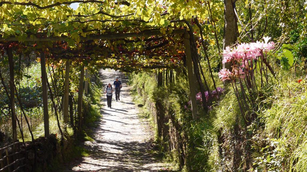 Quinta Das Leiras - Rubiaes Paredes de Coura Bagian luar foto